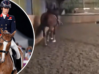 Olympic dressage star seen repeatedly whipping horse