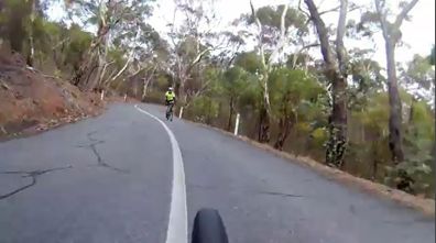 News South Australia Adelaide cyclists deer crossing